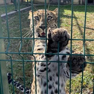 Наш личный вклад по сохранению природы